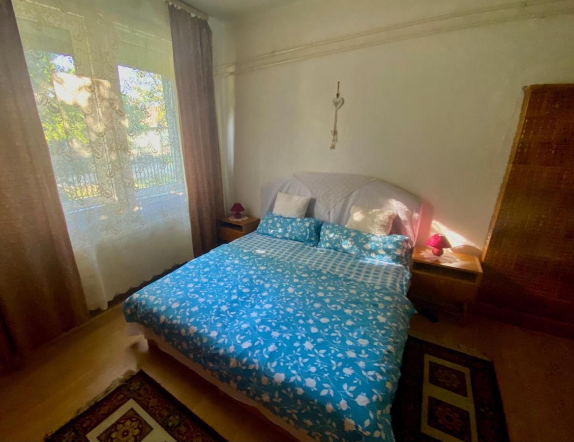 Grany'S Retro Guesthouse Near Budapest Airport 韦切什 外观 照片