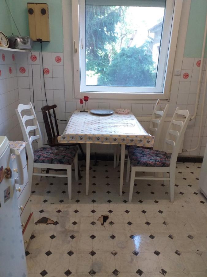 Grany'S Retro Guesthouse Near Budapest Airport 韦切什 外观 照片
