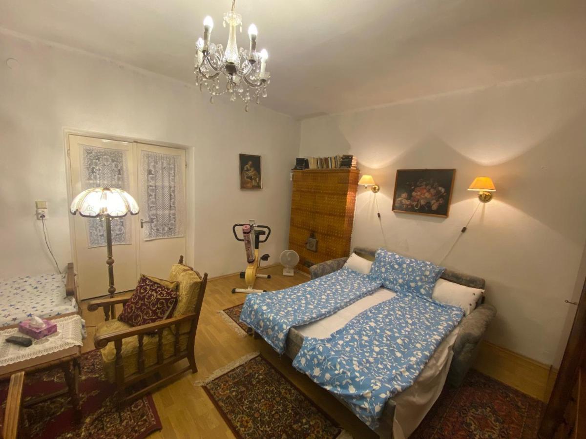 Grany'S Retro Guesthouse Near Budapest Airport 韦切什 外观 照片