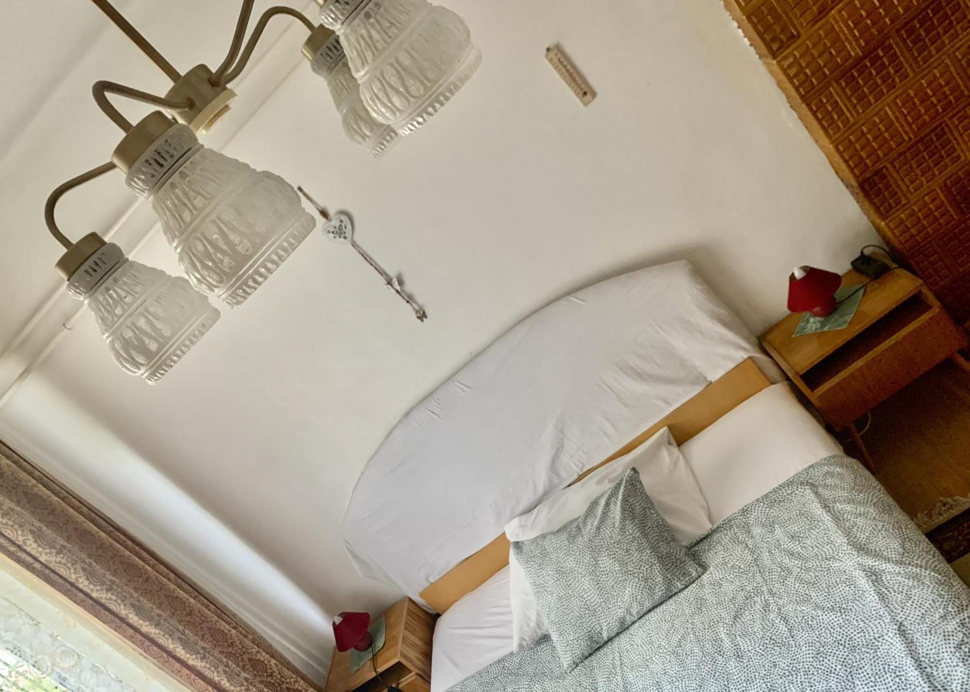Grany'S Retro Guesthouse Near Budapest Airport 韦切什 外观 照片