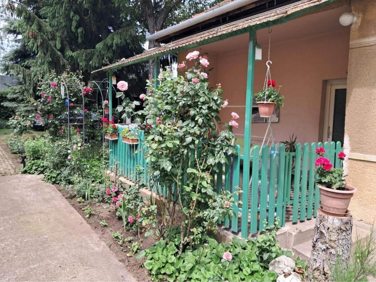 Grany'S Retro Guesthouse Near Budapest Airport 韦切什 外观 照片
